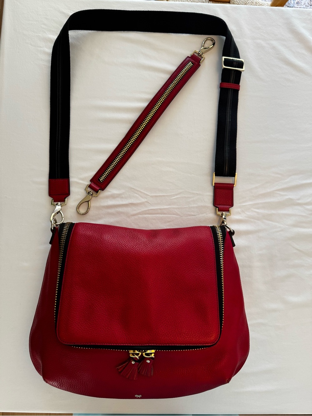 Anya Hindmarch Maxi Zip Red Leather Crossbody